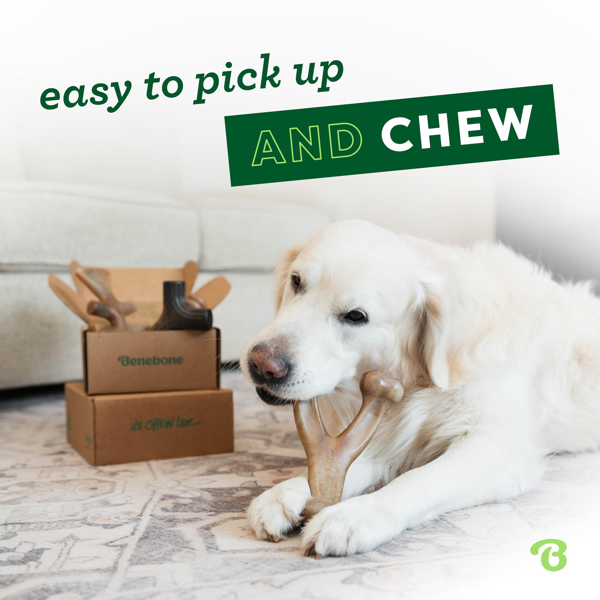 Benebone Medium 4-Pack Dog Chew Toys LukkyDeals