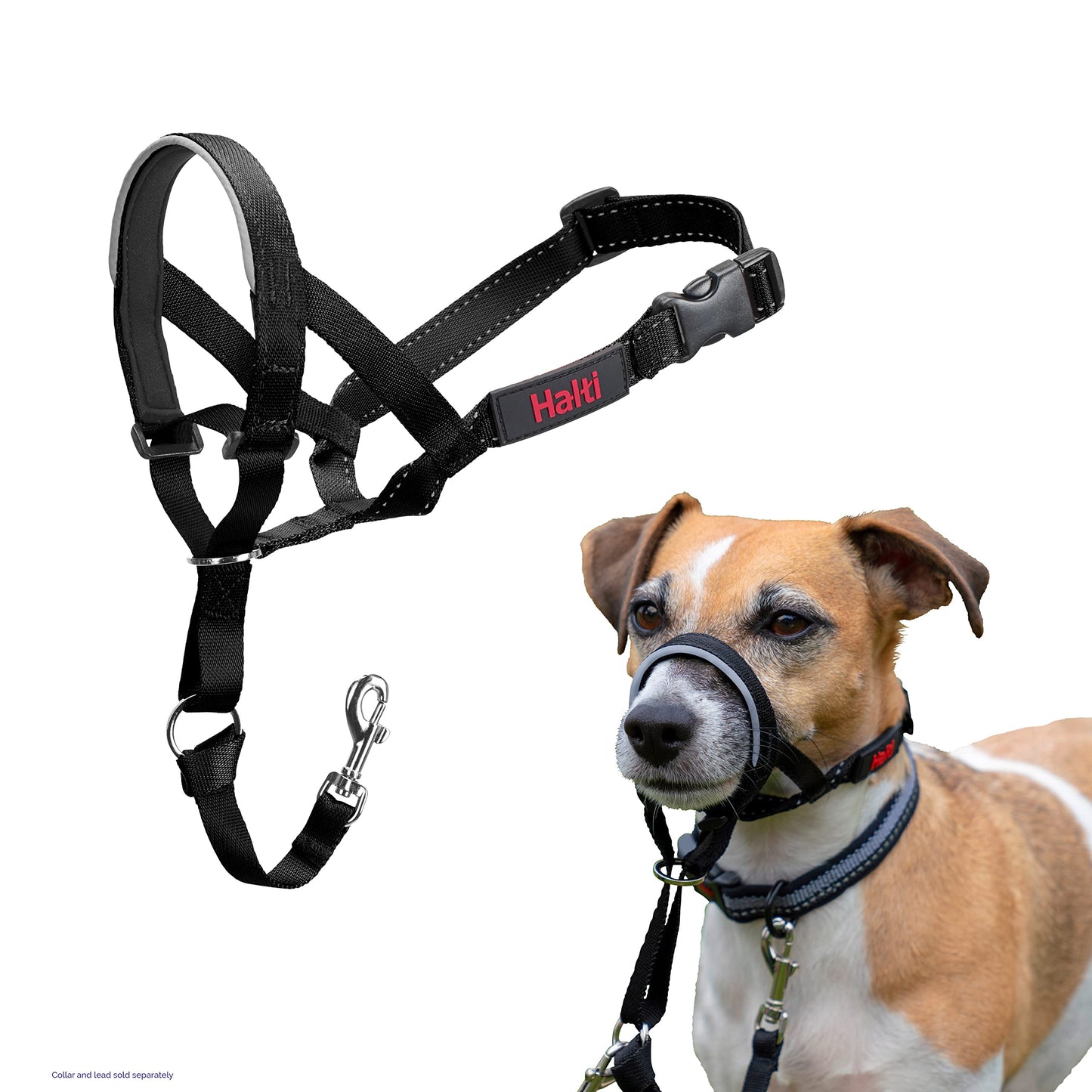 HALTI Headcollar - To Stop Your Dog Pulling on the Leash. Adjustable, Reflective and Lightweight, with Padded Nose Band. Dog Training Anti-Pull Collar for Medium Dogs (Size 3, Black)