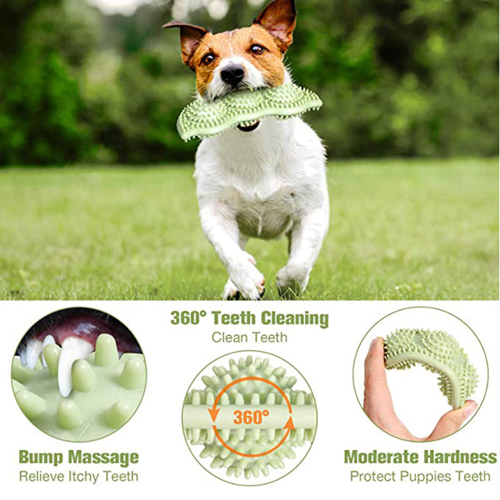 New Pet Toy Chew Teeth Stick Dog Toy Ball Bite Resistant Interaction