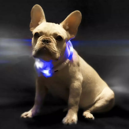 Pet Light Collar Anti-Lost Collar for Dogs Pet Collars