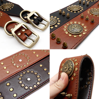 Close-up of a high-quality leather dog collar with metal studs for added security