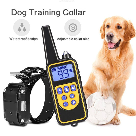 Dog Training Collar with Remote