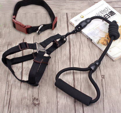 Dog Collar, Harness, & Leash Set - LukkyDeals