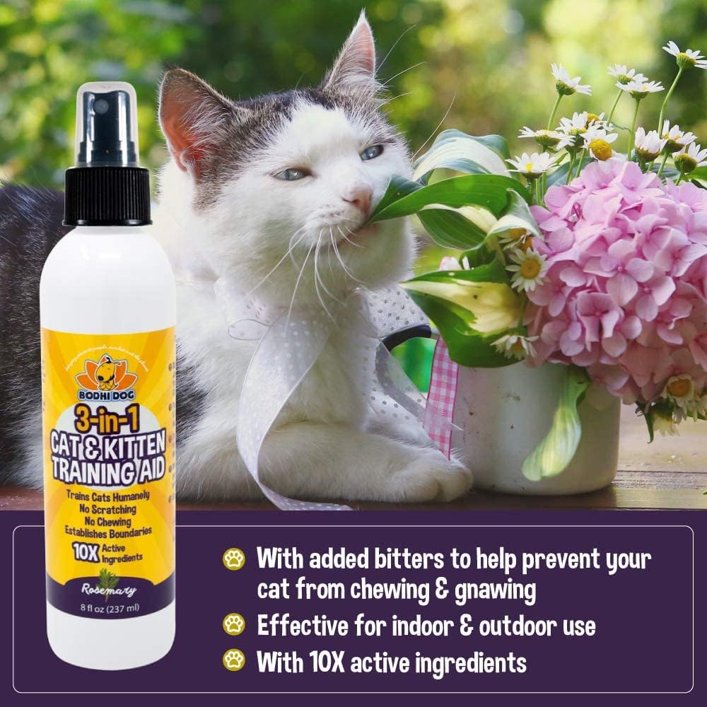 Bodhi Dog 3-in-1 Cat & Kitten Training Aid | Cat Deterrent Spray for Indoor and Outdoor Use | Cat Repellent Spray for Furniture | Establish Boundaries & Keep Cat Off | Made in The USA (8 oz)