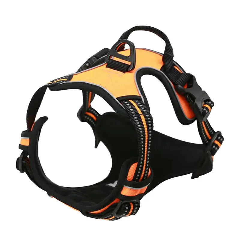 Dog wearing a no-pull harness while walking outdoors with owner