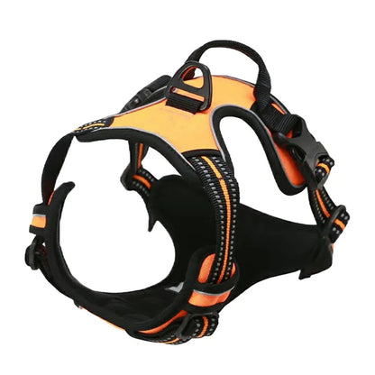 Dog wearing a no-pull harness while walking outdoors with owner
