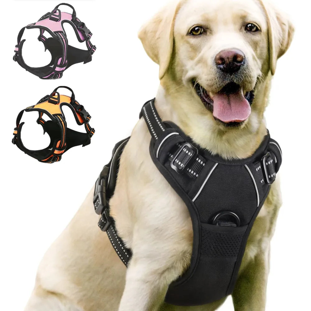 No Pull Dog Harness with 2 leash clips in black, displayed on a Labrador