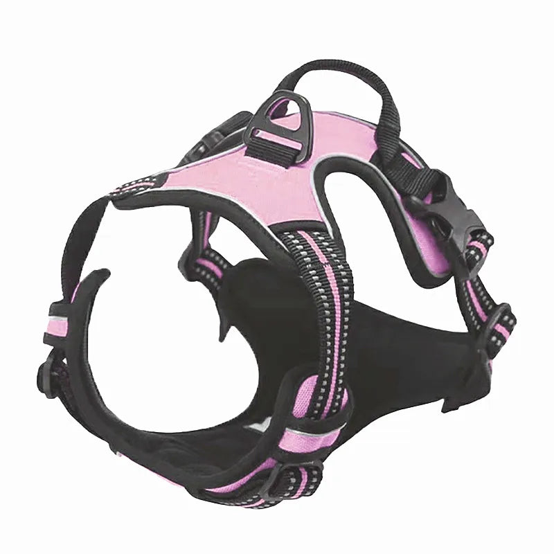 Quick-snap buckles and adjustable straps on a heavy-duty dog harness
