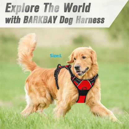 No-Pull Pet Harness with 2 Leash Clips