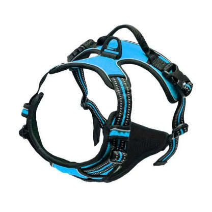 No-Pull Pet Harness with 2 Leash Clips