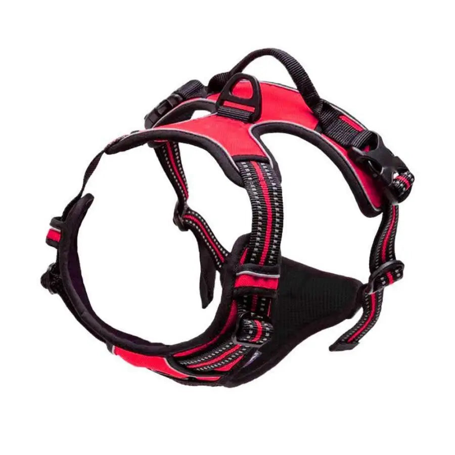 No-Pull Pet Harness with 2 Leash Clips