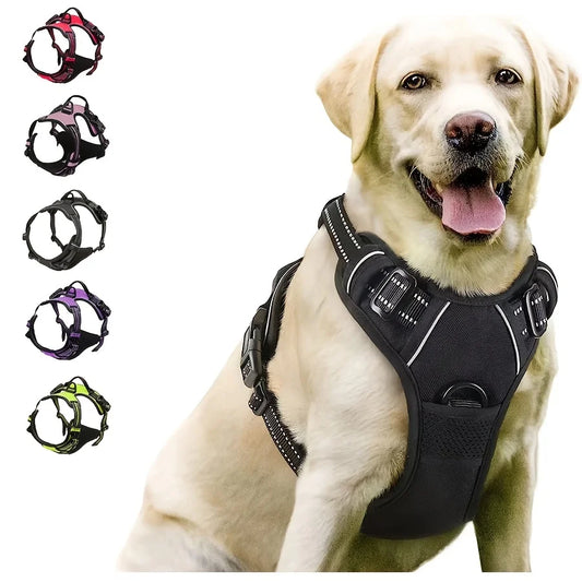 No-Pull Pet Harness with 2 Leash Clips