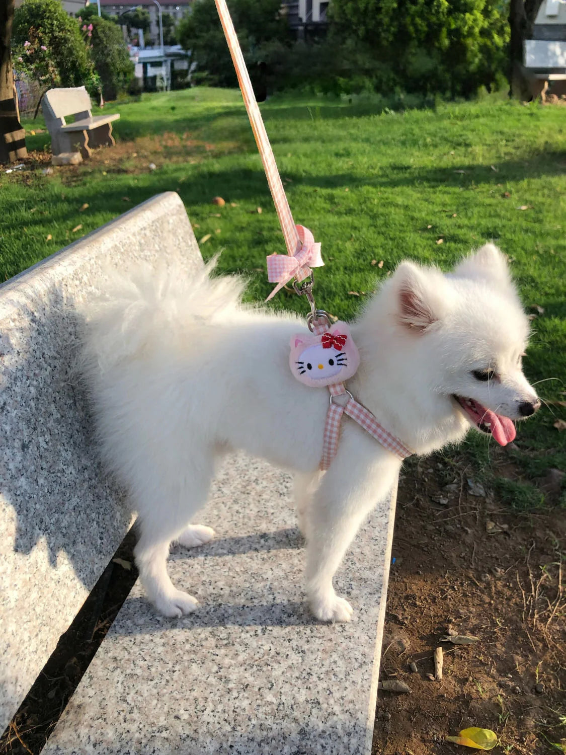 Hello Kitty Retractable Pet Leash