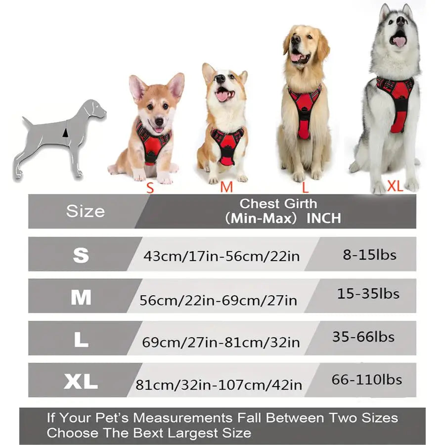 No-Pull Pet Harness with 2 Leash Clips