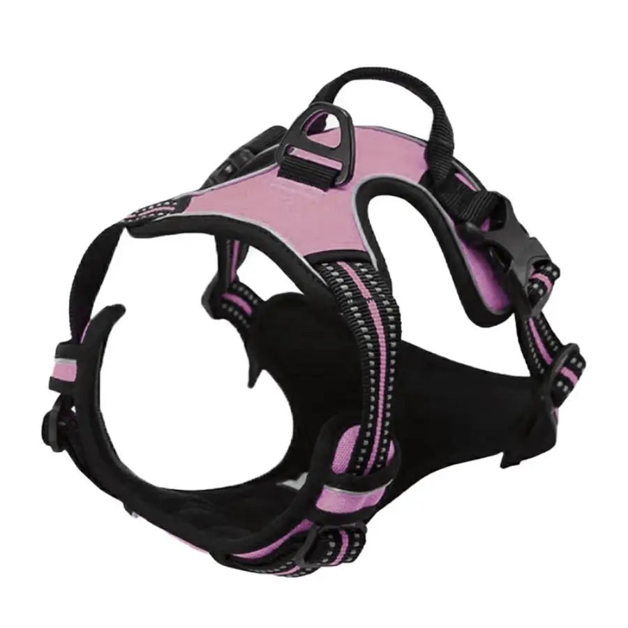 No-Pull Pet Harness with 2 Leash Clips