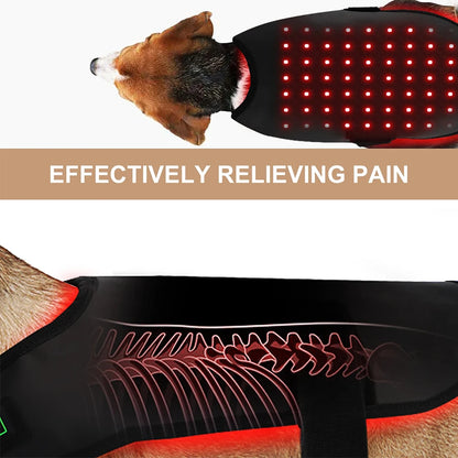 LED Red Infrared Light Dog Clothes