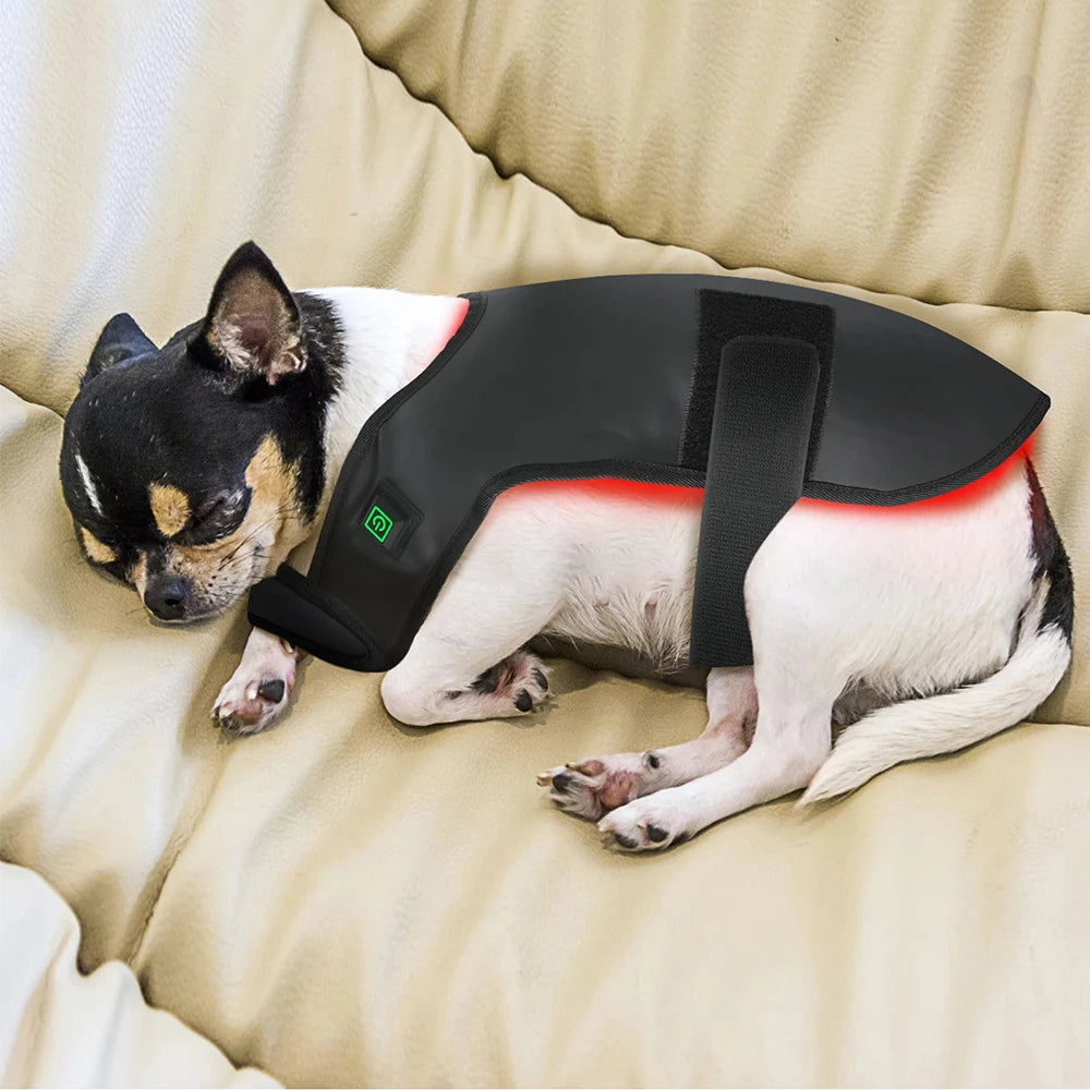 LED Red Infrared Light Dog Clothes