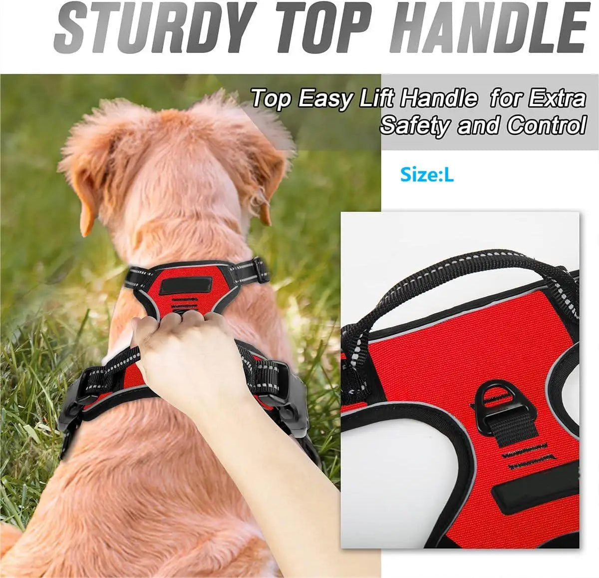 No-Pull Pet Harness with 2 Leash Clips