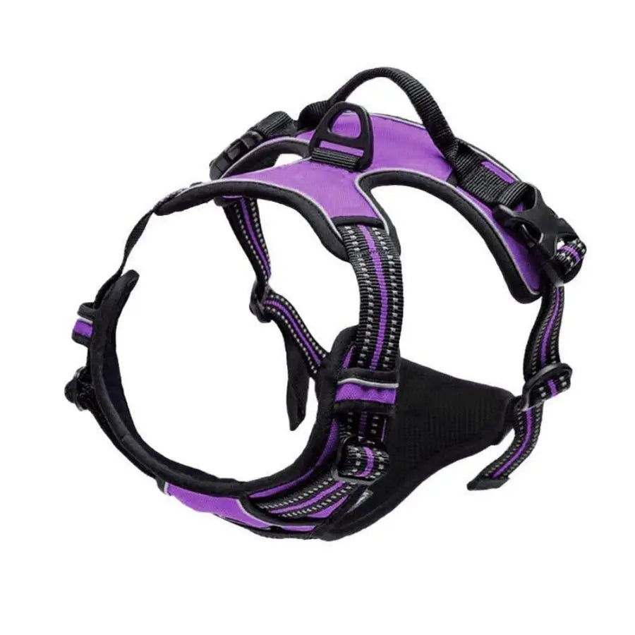 No-Pull Pet Harness with 2 Leash Clips