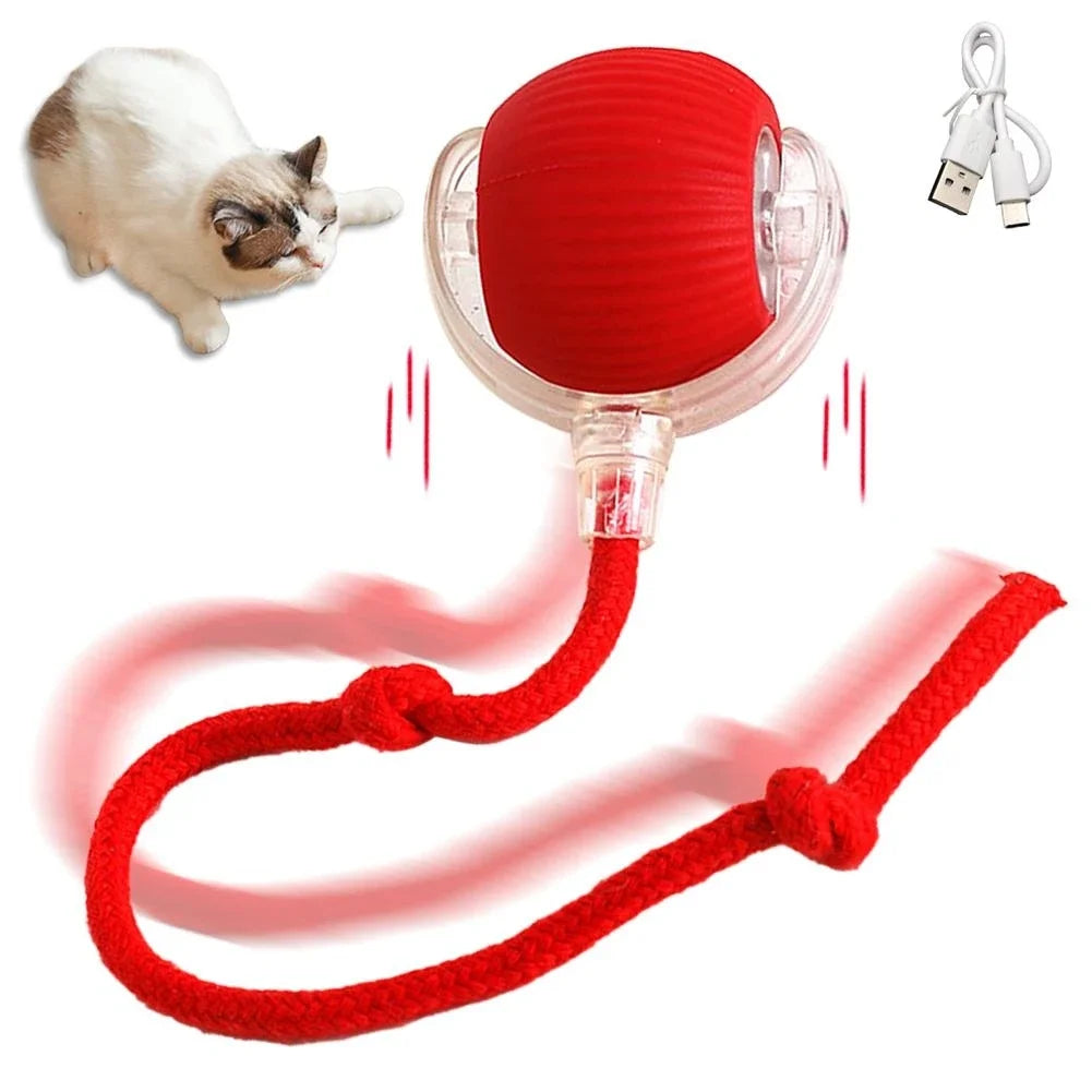 Cat Interactive Electric Rolling Ball with Teasing Tail