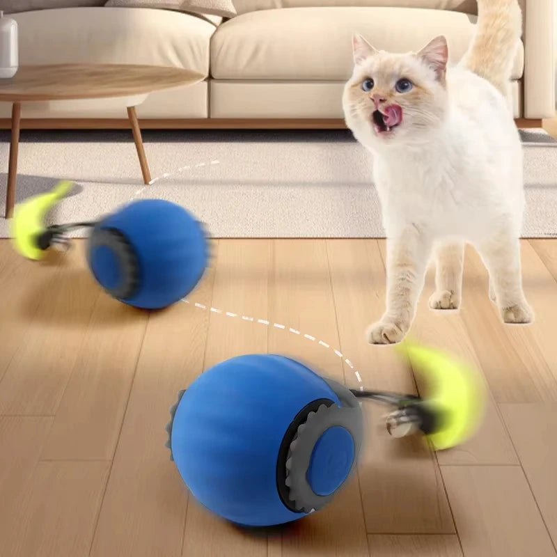 Cat Interactive Electric Rolling Ball with Teasing Tail - LukkyDeals