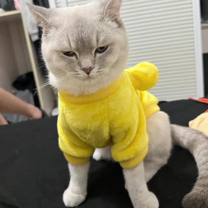 NEW Kawaii Pooh Bear Cat Sweater Costume