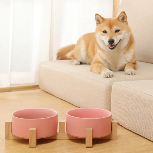 Pet Supplies Bowl