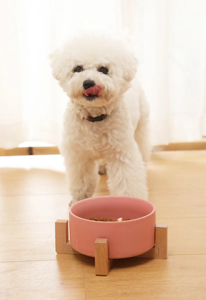 Pet Supplies Bowl