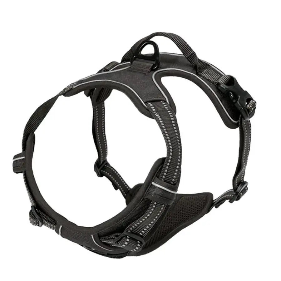 No-Pull Pet Harness with 2 Leash Clips