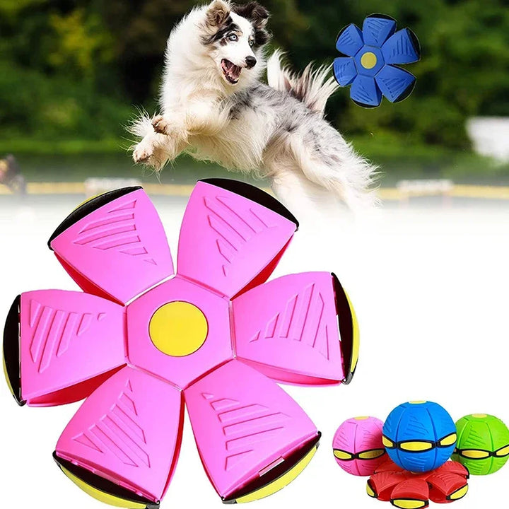 Flying saucer ball dog toy
