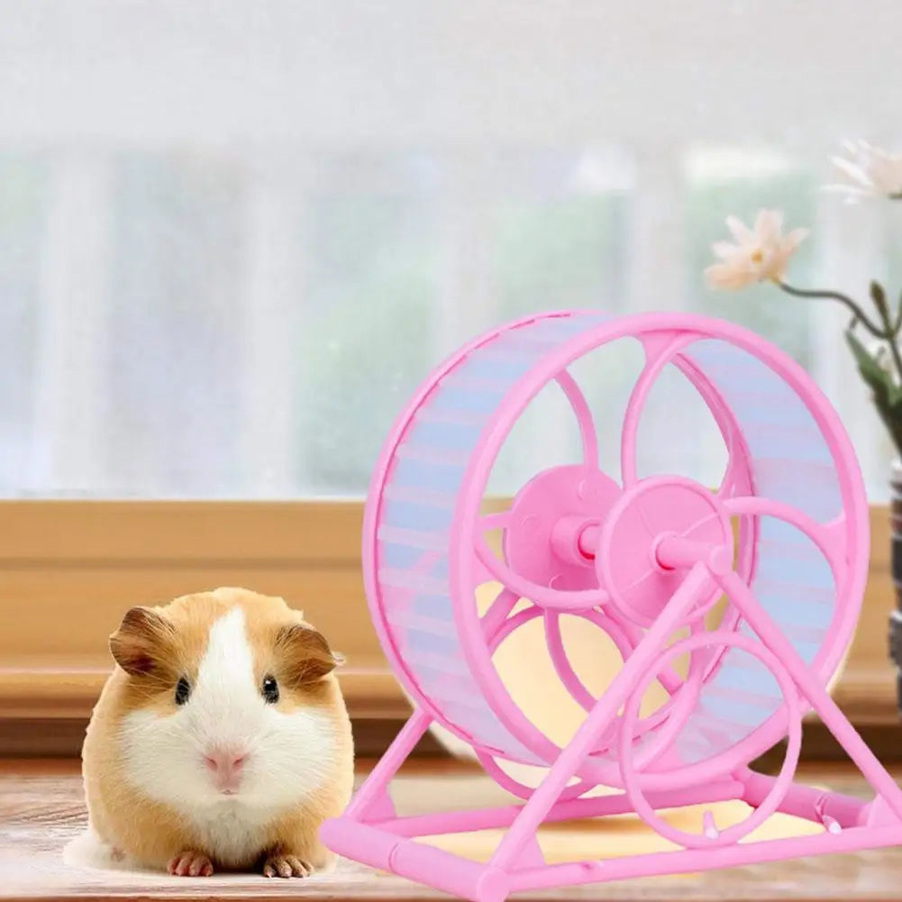 exercise wheel for rabbits