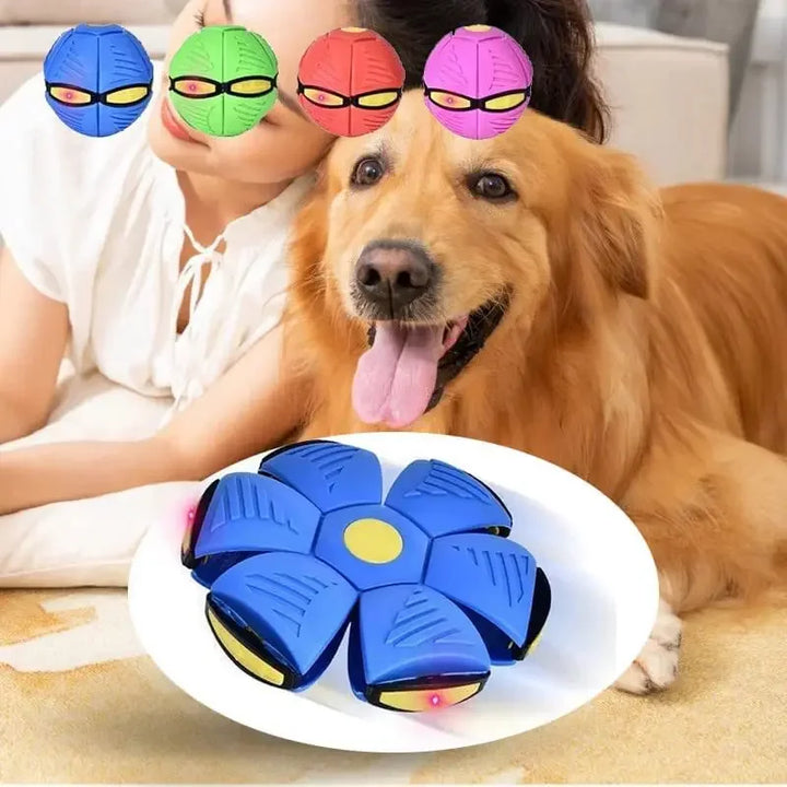 Flying saucer ball dog toy for dogs