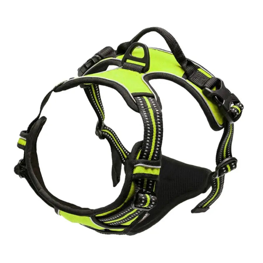 No-Pull Pet Harness with 2 Leash Clips