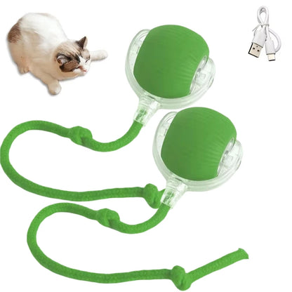 Cat Interactive Electric Rolling Ball with Teasing Tail