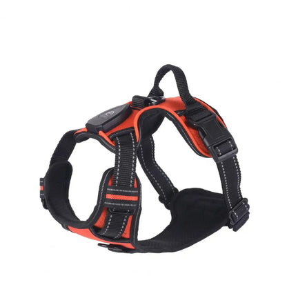 Rechargeable Led Pet Harness