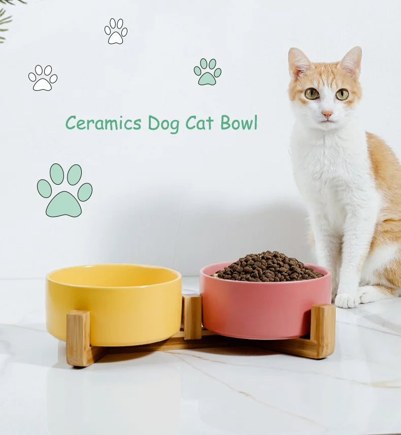 Pet Supplies Bowl