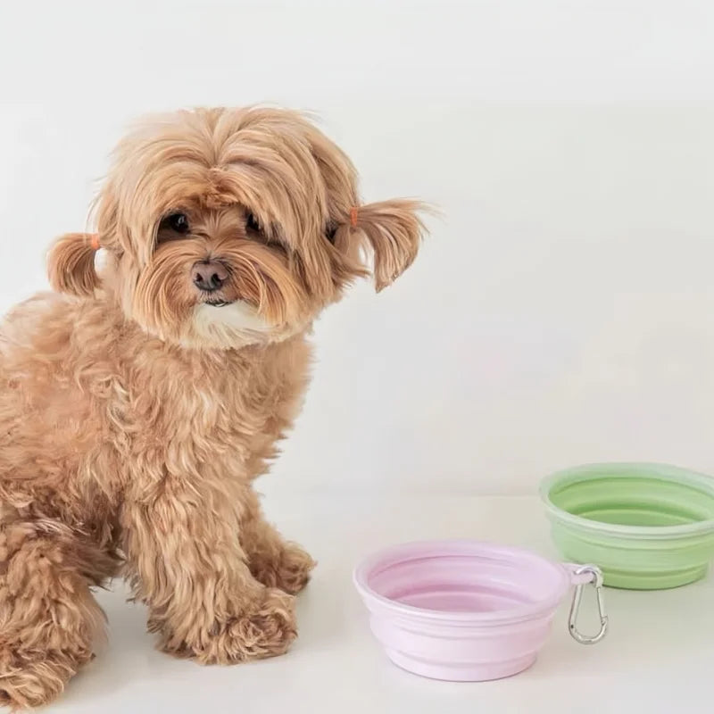 Pet Folding Silicone Bowl 350ML