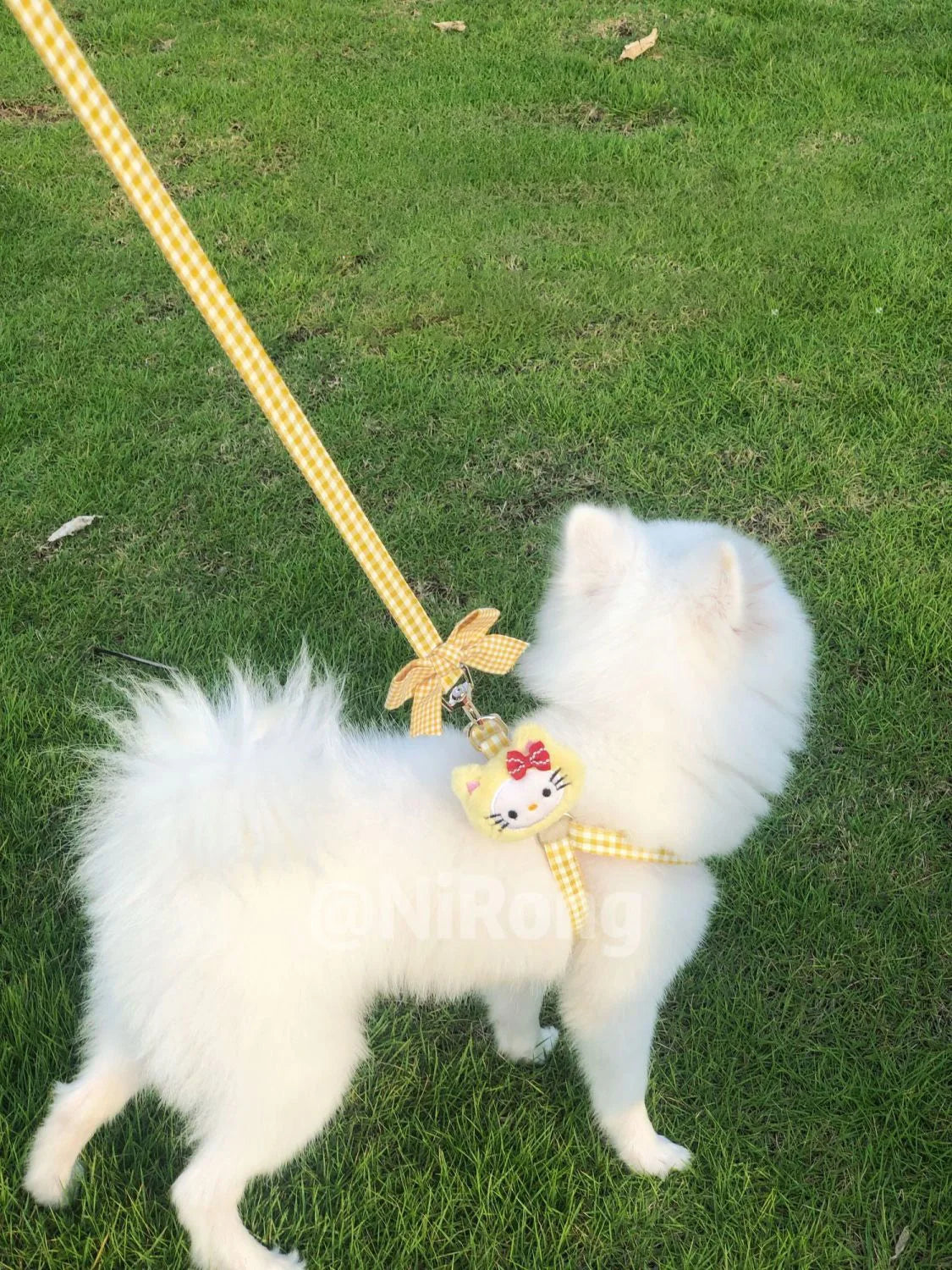 Hello Kitty Retractable Pet Leash