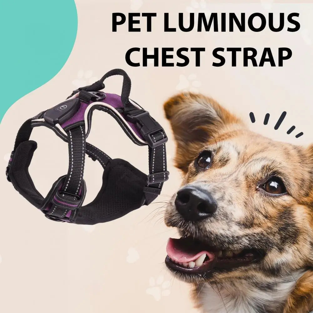 Rechargeable Led Pet Harness