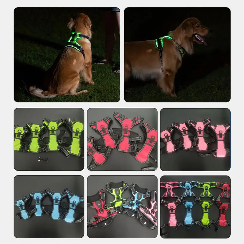 Rechargeable Led Pet Harness