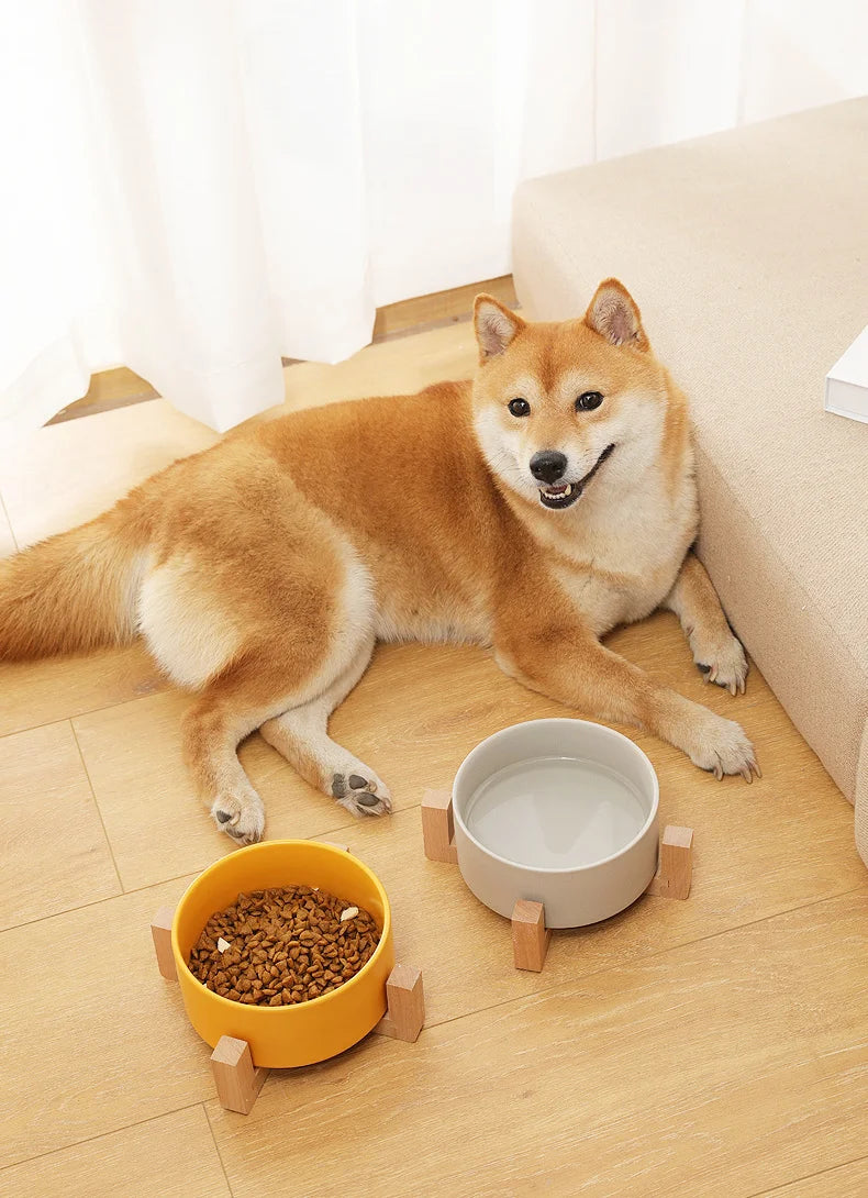 Pet Supplies Bowl