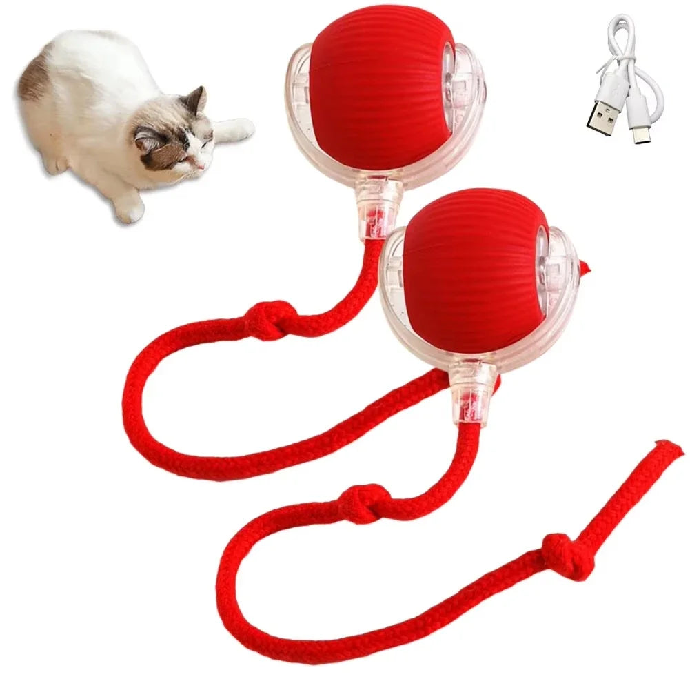 Cat Interactive Electric Rolling Ball with Teasing Tail