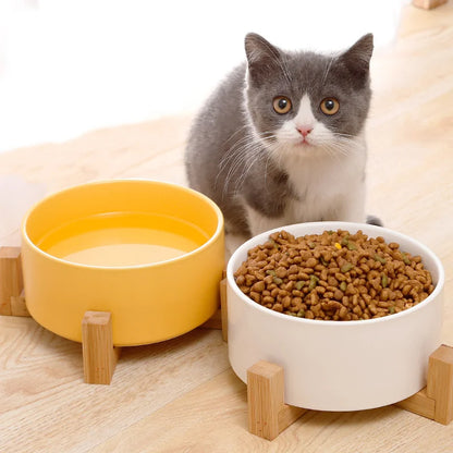 Pet Supplies Bowl