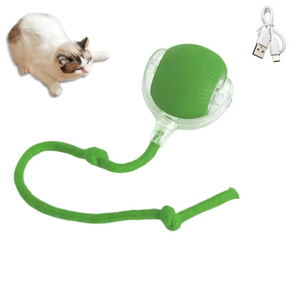 Cat Interactive Electric Rolling Ball with Teasing Tail