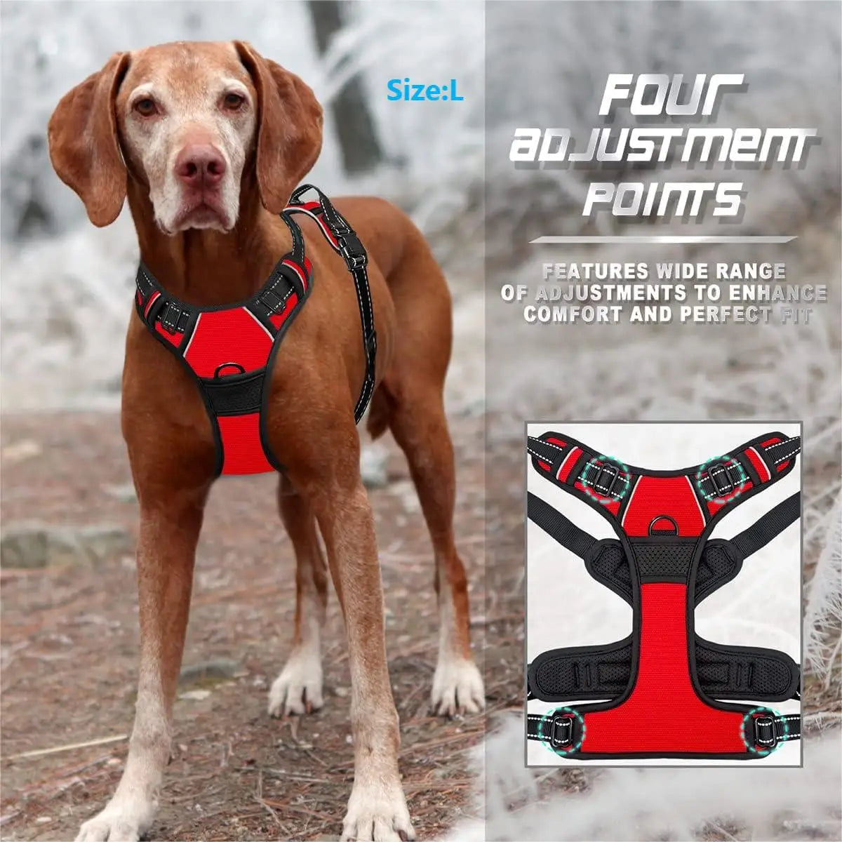 No-Pull Pet Harness with 2 Leash Clips