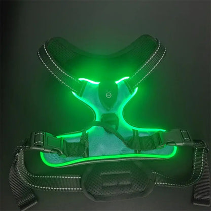 Rechargeable Led Pet Harness