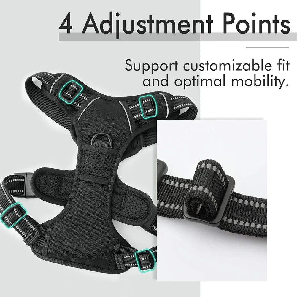Soft-padded dog harness with front and back metal leash attachments.