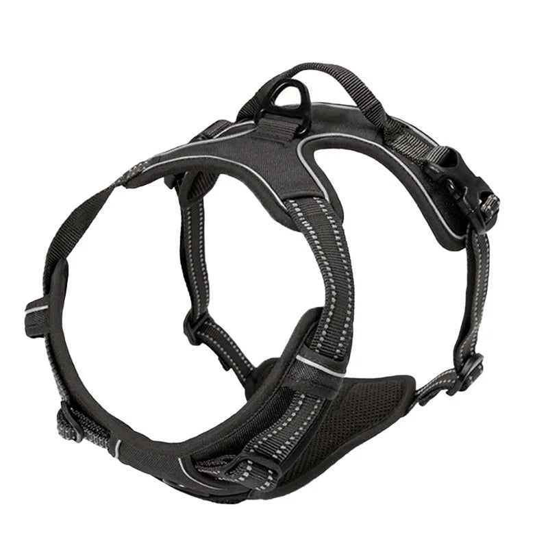 Top view of a durable dog vest harness with reinforced stitching