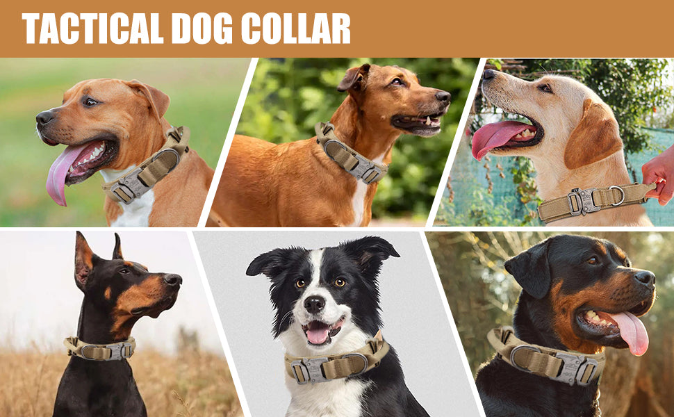 Tactical Dog Collar – Adjustable Military Nylon Collar with Heavy-Duty Metal Buckle & Handle - LukkyDeals