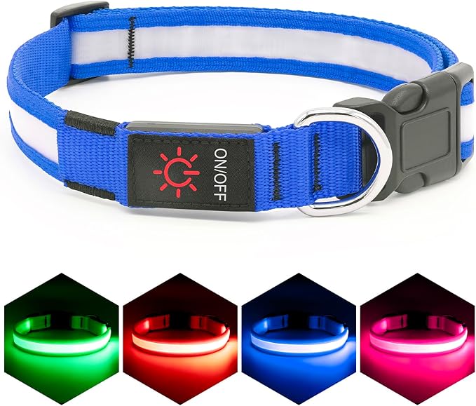 LED Dog Collar – USB Rechargeable Light-Up Safety Collar for Dogs (Medium, Green) LukkyDeals